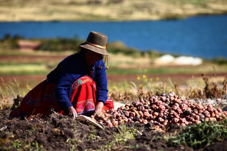 Alan Fairlie: “Una de las principales barreras que enfrenta el agro peruano es el limitado acceso a fuentes de financiamiento”