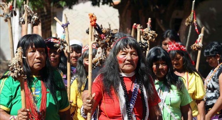 Plataforma Indígena frente al Cambio Climático: garantizando la efectiva participación de los pueblos indígenas