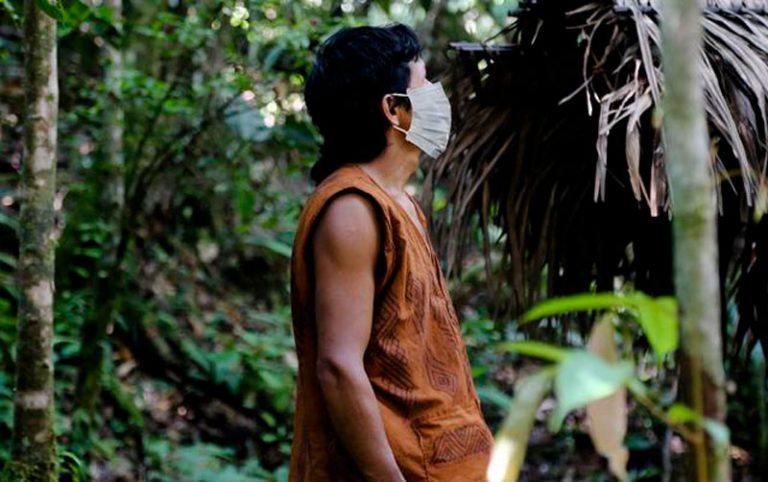 Crisis sanitaria y la problemática de la Amazonía